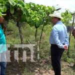 Ministerio de Economía Familiar acompaña a productores de la zona de Tasba Pri nicaragua