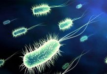 Brote de bacterias en hospital de Guatemala afecta a 3 pacientes el salvador