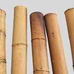 Capturan a acusados de asesinar a mujer con una estaca de bambú feminicidio