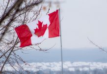 Canadá busca impulsar a los agricultores centroamericanos canada