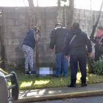 México: Hallan a bebé devorado por ratas tras ser abandonado recien nacido muerto