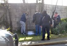 México: Hallan a bebé devorado por ratas tras ser abandonado recien nacido muerto