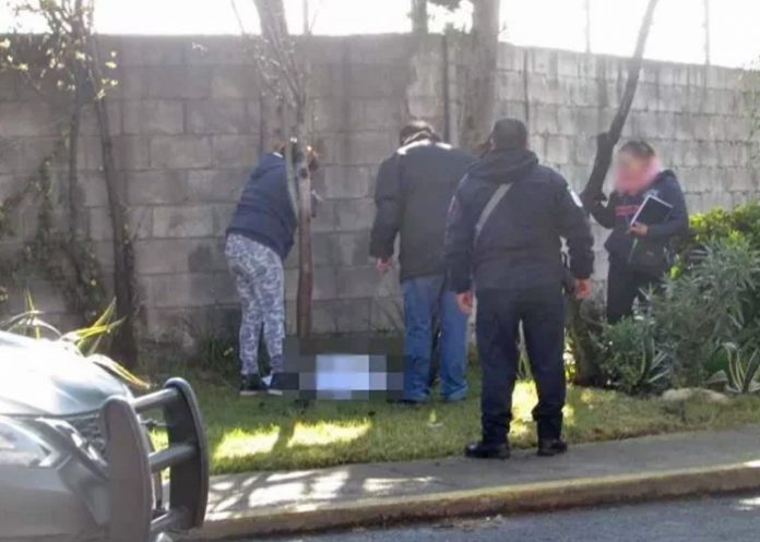 Bebe-Toluca recien nacido muerto