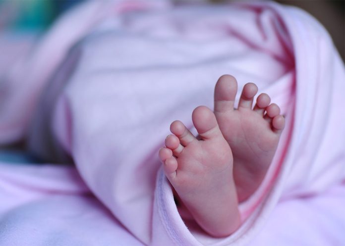 Bebe_N6XsedT argentina