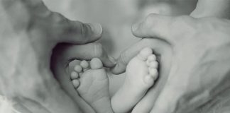 bebe