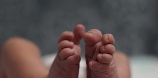 bebe