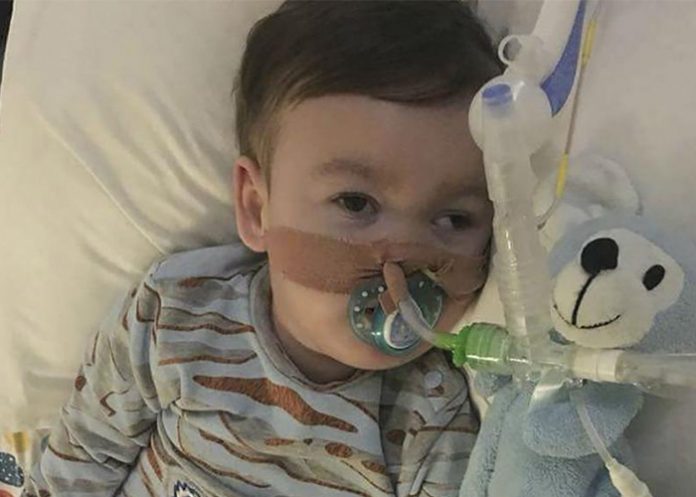 bebe alfie evans