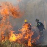 Bolivia y Paraguay acuerdan combatir incendios forestales bolivia