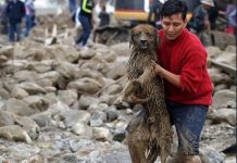 Bolivia: Lluvias dejan 20 muertos y 12 desaparecidos desde enero lluvias