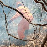 Incendio forestal consume 165 hectáreas de terreno en Pasaquina, El Salvador llamas