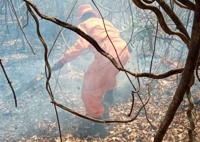 Bomberos_CWIw4rV llamas