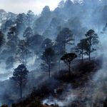 40 mil hectáreas de bosque quemadas en Honduras honduras