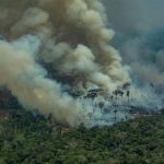 Policía de Brasil detiene a sospechoso de haber iniciado incendios brasil
