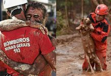 Crean fuerza de tarea para investigar la tragedia mortal de una presa en Brasil brasil