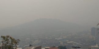 incendios forestales