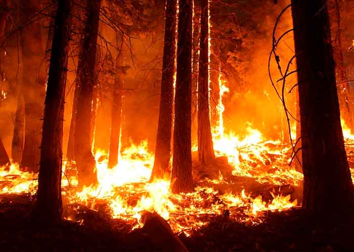 CALIFORNIA1 estados unidos