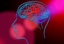 Un gen común explica por qué el cerebro de algunos envejece más rápido cerebro humano