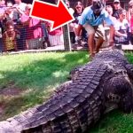 Fotos brutales: Un cocodrilo golpeado hasta la muerte en Túnez cuidador