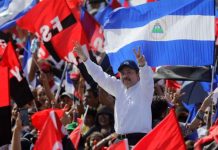 presidente de conosur