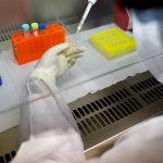 No se podrá derrotar completamente el cononavirus dicen virólogos el vaticano