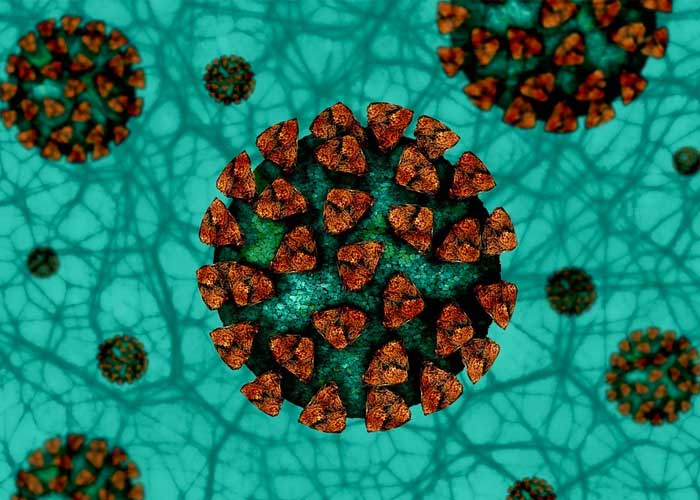 COVID-19_E1y4MKE espana