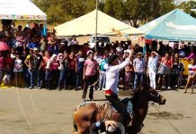 Niña muere arrastrada por caballo en provincia de Costa Rica carreras de cintas