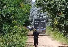 Macabros datos sobre el hallazgo del cadáver quemado de una mujer argentina
