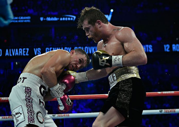 Canelo_8FZSP0N saul