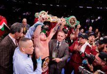 Al Canelo, 2018 le trajo redención, títulos y mucho dinero canelo