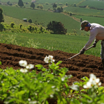 Corea del Sur promueve nuevas oportunidades de producción en Nicaragua nicaragua
