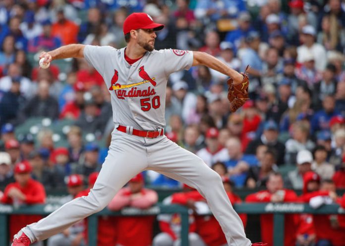 Cardenales_Ptl0P1X adam