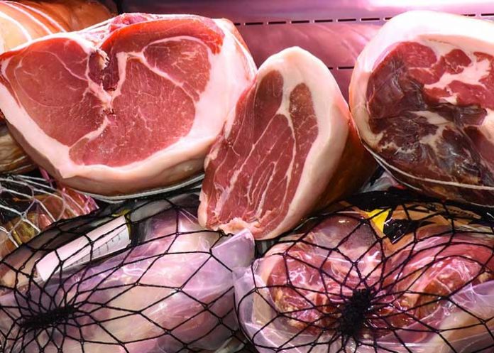 presidente evo morales