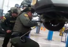 Escuchó un ruidito en su carro, revisó y encontró un animal enorme colombia