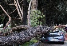 Ascienden a 9 los muertos por el temporal de lluvia y viento en Italia italia
