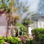 Brigadistas eliminan criaderos de zancudos en el Distrito I de Managua silais managua