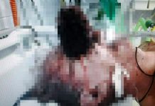 Estas son las veces que debes lavar los dientes, según la ciencia lavado de dientes