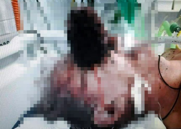 Cepillo lavado de dientes