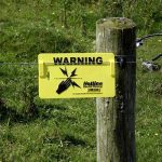 Tiene sexo con un cerco eléctrico y casi muere electrocutado pareja sexual