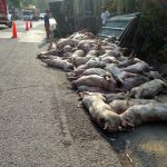 accidente de transito