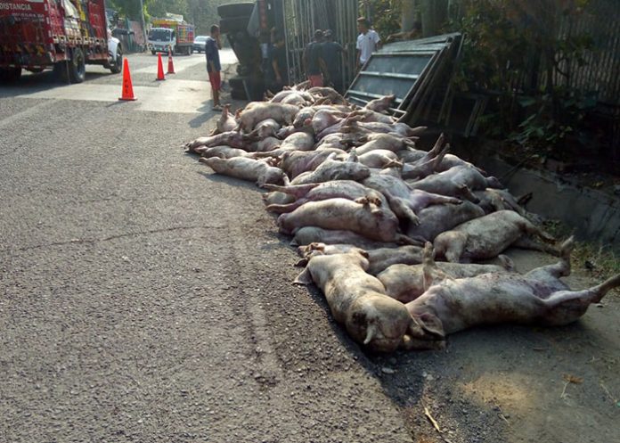 accidente de transito