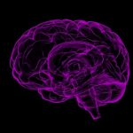 Nuevas tecnologías de la imagen podrían revelar las profundidades del cerebro todo