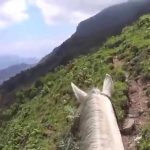 Cerro Brujo, un misterioso lugar que está embrujado en Honduras honduras