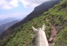 Cerro Brujo, un misterioso lugar que está embrujado en Honduras honduras