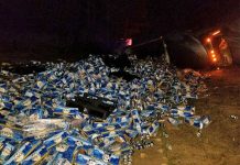 FOTOS: Camión con 60.000 botellas de cerveza queda volcado en Florida empresa busch