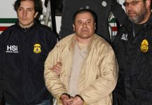 Madre del «Chapo» quiere repatriar al narcotraficante mexico