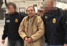 el chapo
