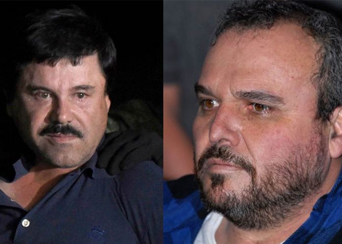 Chapo_EFxwUmy estados unidos