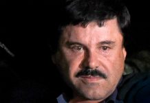 el chapo