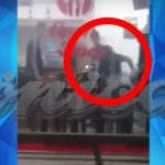 Video brutal: Chavala apuñala a su ex novio en una rosticería argentina