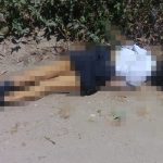 Estudiante hallada muerta en El Salvador chateaba con pandilleros el salvador